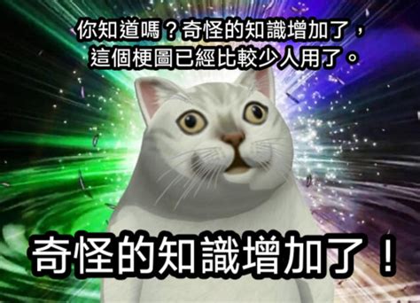 八卦梗圖|[問卦] 看過最好笑的梗圖